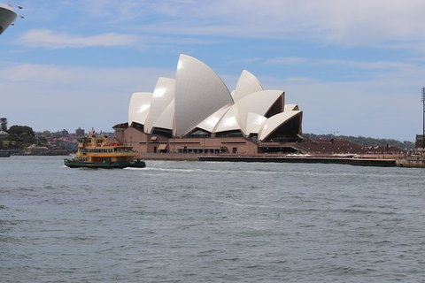 Private Sydney City And Bondi Beach Half Day Tour - Find Attractions 5