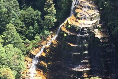Private Blue Mountains Tour With Kangaroo And Koala Experience - Find Attractions 5