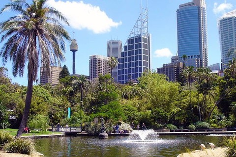 Private Sydney Half Day Tour Including Sydney Opera House And Bondi Beach - Find Attractions 4