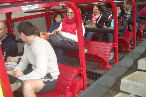 Full-Day Private Blue Mountains Tour With River Cruise - Find Attractions 0