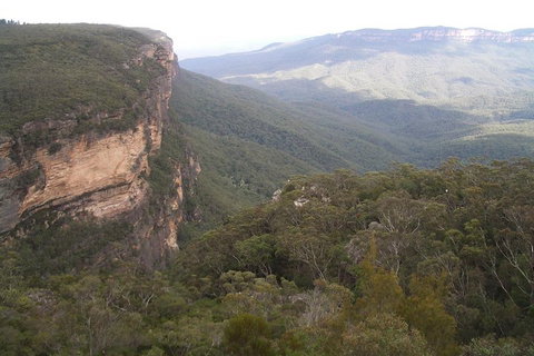 Full-Day Private Blue Mountains Tour With River Cruise - Find Attractions 3