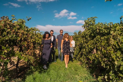 Barossa Valley Private Tour (from 2 To 11 People) - Find Attractions 0