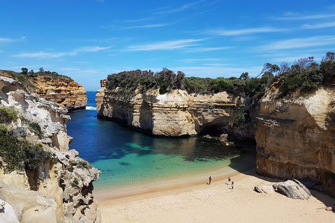 Helicopter Flight + Fine Dining Private Luxury Great Ocean Road Tour - Find Attractions 1