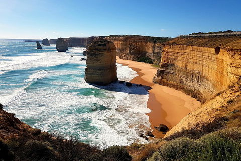 Helicopter Flight + Fine Dining Private Luxury Great Ocean Road Tour - Find Attractions 4