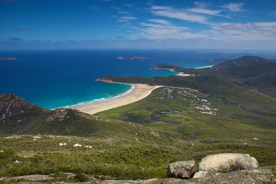 Wilson's Promontory  Phillip Island - 'Prom  Penguins' Tour