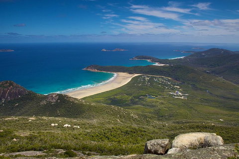 Wilson's Promontory & Phillip Island - 'Prom & Penguins' Tour - Find Attractions 0