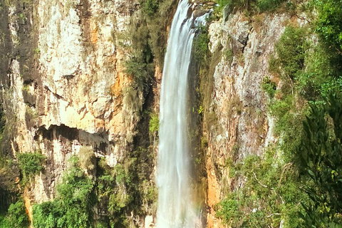 Natural Arch, Rainforest & Volcano Canyon - Private Half Day Tour - Find Attractions 2