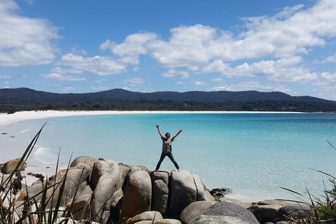 Tasmania 4 Day East Coast + Launceston - Find Attractions 1