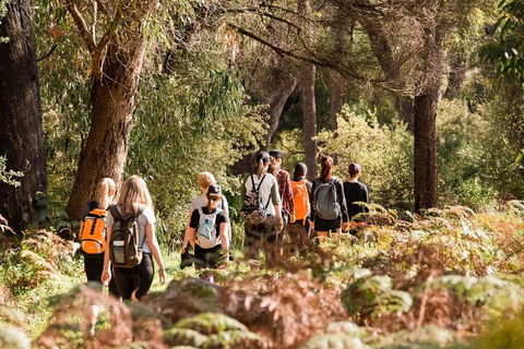 Half-Day Yanchep Ghost House Wilderness Guided Hike Tour - Find Attractions 0