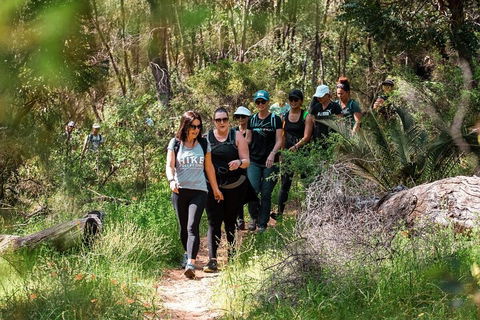 Half-Day Yanchep Ghost House Wilderness Guided Hike Tour - Find Attractions 3
