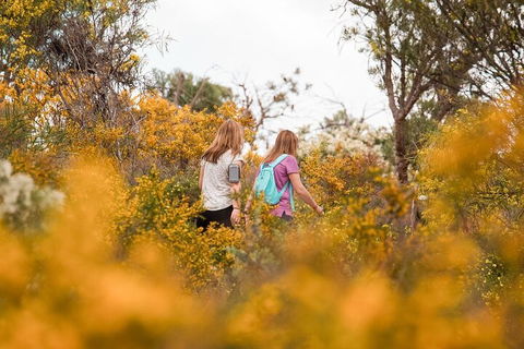Half-Day Yanchep Ghost House Wilderness Guided Hike Tour - Find Attractions 4
