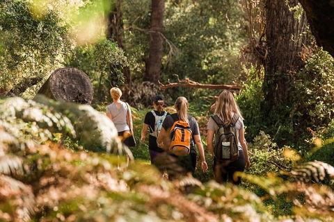Half-Day Yanchep Ghost House Wilderness Guided Hike Tour - Find Attractions 5