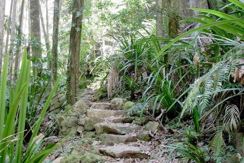Byron Bay Combo: Minyon Falls And Hinterland Day Trip And Learn To Surf At Byron Bay - Find Attractions 3