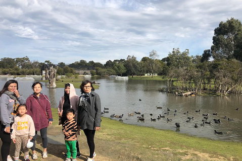 Phillip Island Penguins Private Tour - Find Attractions 1
