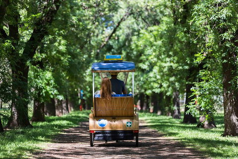 Adelaide 90-Minute Pedicab Tour: Scenic Green & River Experience - Find Attractions 2