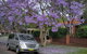 Sydney Secrets & Bondi Beach Private 4 Hr Morning With Personalised Sydney Tours - thumb 0