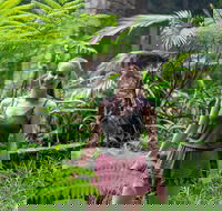 Full-Day Guided Hinterland Adventure Tour in Queensland - Find Attractions