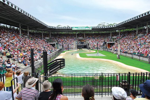 Croc Express To Australia Zoo From Gold Coast - Find Attractions 2