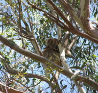 Stradbroke Island 4WD Day Trip from Brisbane - Find Attractions