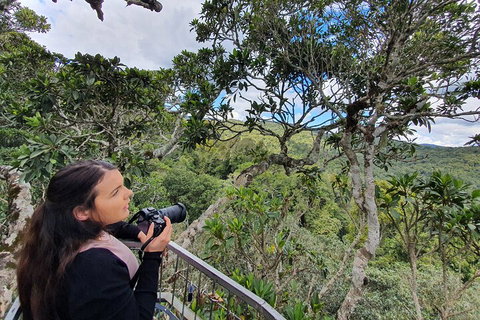 Lamington National Park, O'Reilly's & Vineyard Tour - Find Attractions 1
