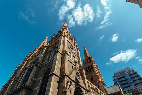 Highlights & Hidden Gems With Locals: Best Of Melbourne Private Tour - Find Attractions 4