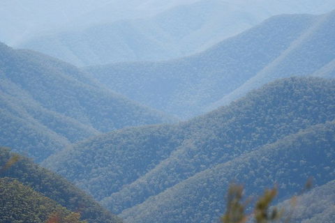 From The Mountains To The Bay - 4 Day Rediscovery Private Tour - Find Attractions 1