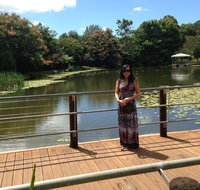Mt Tamborine Full Day Wine Tour - Find Attractions