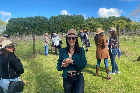Mt Tamborine Full Day Wine Tour - Find Attractions 1