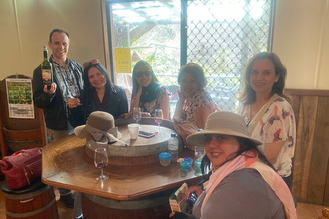 Mt Tamborine Full Day Wine Tour - Find Attractions 5