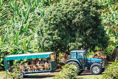 Northern Rivers Full Day Wine Tour - Find Attractions 1