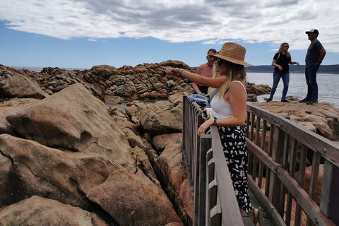 Margaret River Impression Day Tour From Perth - Find Attractions 4
