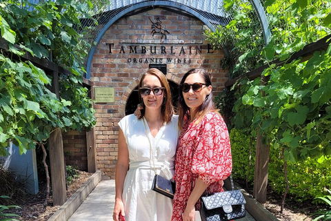 Hideaway Private Tours Hunter Valley- Indulgence Wine Tour (Full Day) - Find Attractions 5