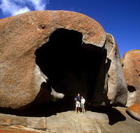 Full-Day Kangaroo Island Safari from Penneshaw - Find Attractions