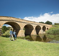 Bonorong Wildlife Park and Richmond Afternoon Tour from Hobart - Find Attractions