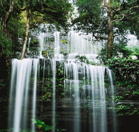 Mt Field National Park and Russell Falls from Hobart - Find Attractions