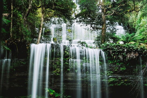 Mt Field National Park And Russell Falls From Hobart - Find Attractions 0