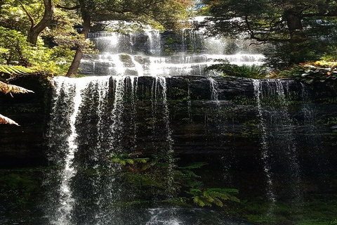 Mt Field National Park And Russell Falls From Hobart - Find Attractions 2