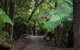 Mt Field National Park And Russell Falls From Hobart - thumb 3