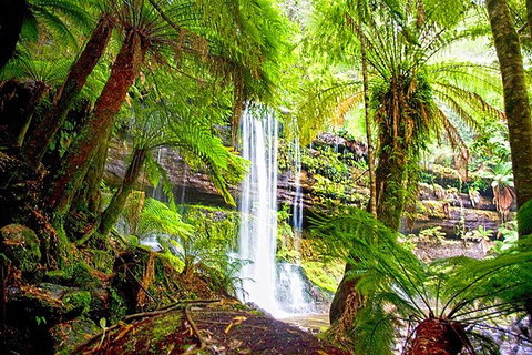 Mt Field National Park And Russell Falls From Hobart - Find Attractions 4
