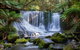Mt Field National Park And Russell Falls From Hobart - thumb 5
