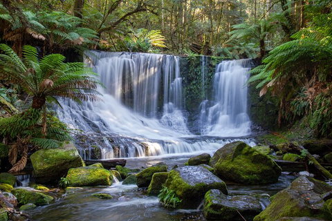 Mt Field National Park And Russell Falls From Hobart - Find Attractions 5