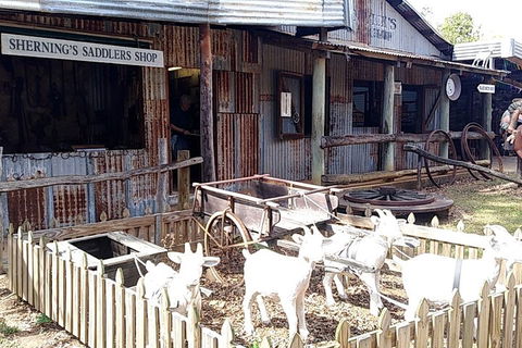 Full Day Atherton Tablelands Tour From Cairns - Find Attractions 4