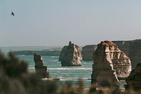 Half-Day Or Full-Day Tour With Private Guide From Melbourne - Find Attractions 0