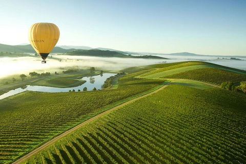 Half-Day Or Full-Day Tour With Private Guide From Melbourne - Find Attractions 4