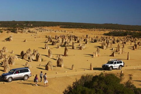 1-Day Pinnacles And Yanchep Tour From Perth Including Fish And Chips Lunch - Find Attractions 0