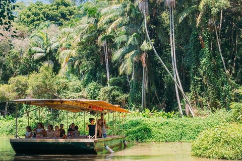 Tropical Fruit World Farm Full Tour - Find Attractions 0