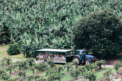 Tropical Fruit World Farm Full Tour - Find Attractions 5