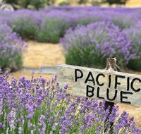 Kangaroo Island Food and Wine Trail Tour - Find Attractions