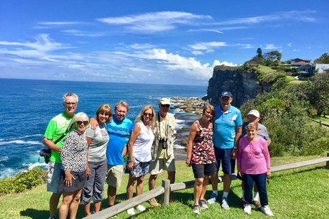 Shore Excursion: Sydney's Northern Beaches & Ku-ring-gai National Park Bus Tour - Find Attractions 0
