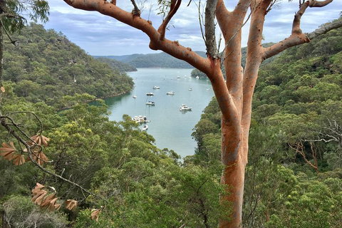 Shore Excursion: Sydney's Northern Beaches & Ku-ring-gai National Park Bus Tour - Find Attractions 1